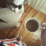 924623_581129288688101_280699309_n