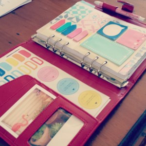 IMG_20150405_120103 - Copy